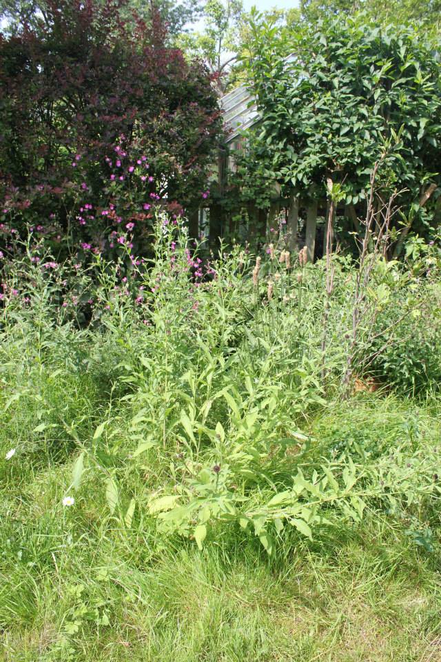 10475731_673632336007803_5490782353025590477_n