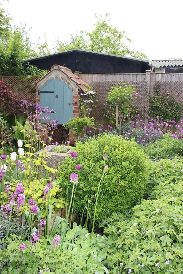 11825846_854055797965455_8932158671618834226_n