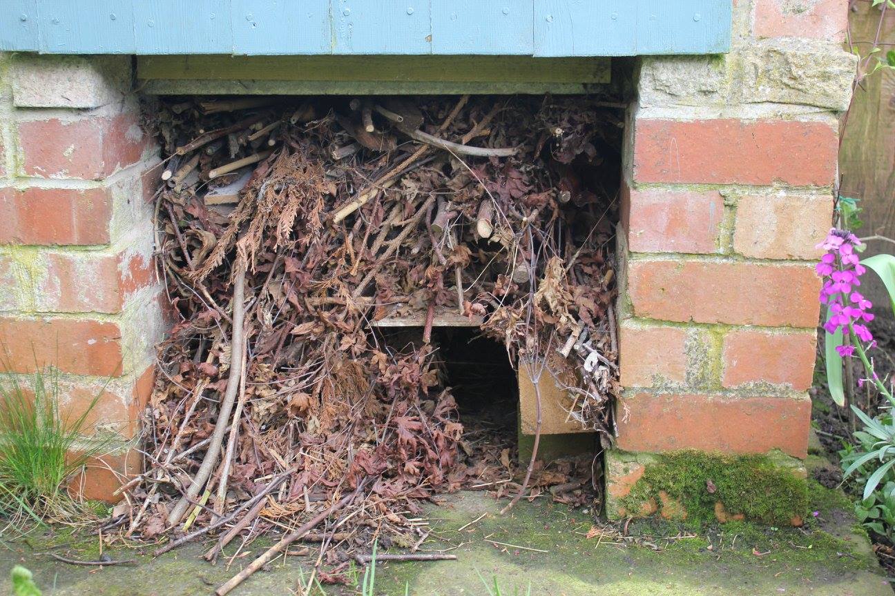 11206797_816374061733629_3824557230001290630_o