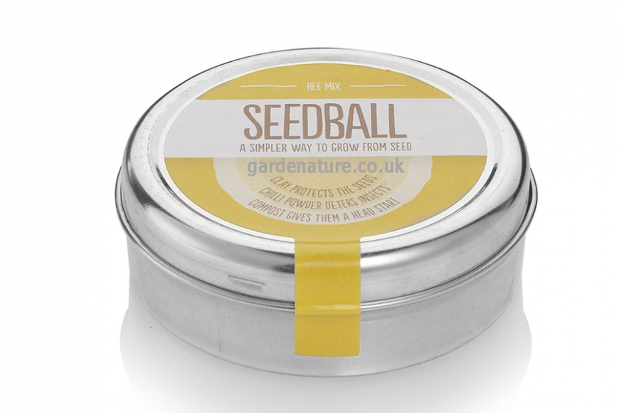Bee_seed_ball