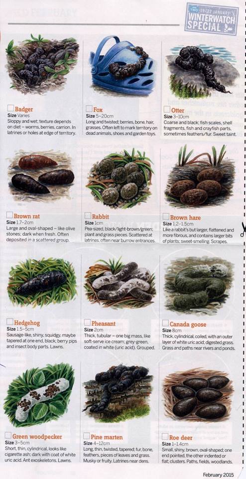 Garden poo chart