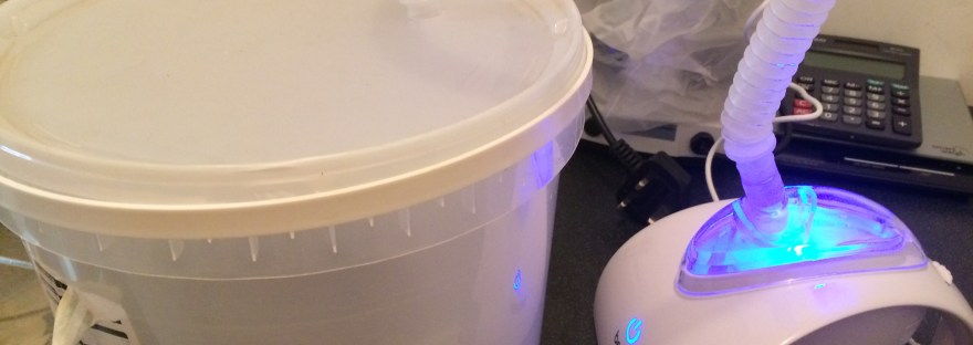 Hedgehog in nebuliser chamber treating pneumonia