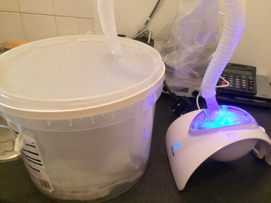 Hedgehog in nebuliser chamber treating pneumonia