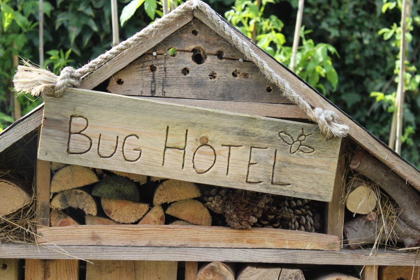 Insect hotel bug hotel