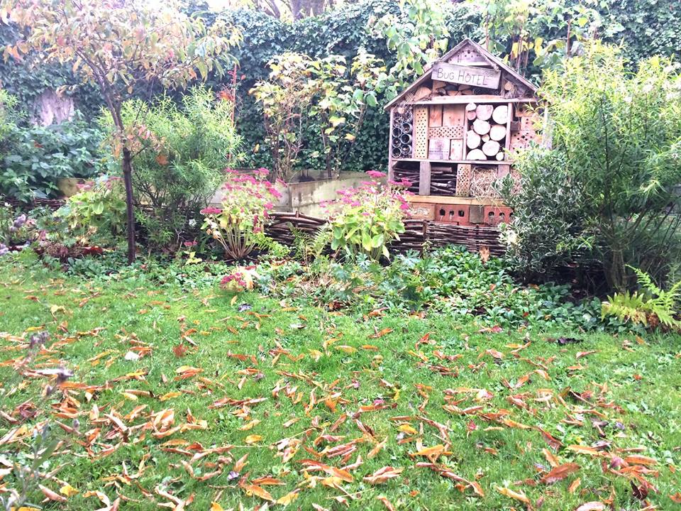 Autumn leaves wildlife garden insect hotel