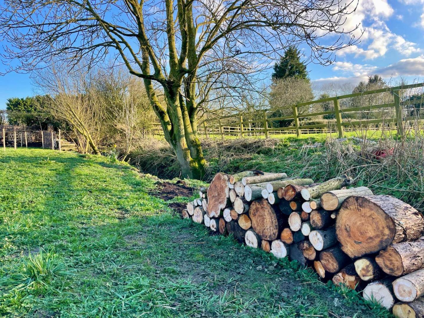 Dead Rimu Log Log pile walls and dead hedges – Little Silver Hedgehog